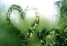 天涯神贴真实身份：孤勇者的隐身极客与烟火人间的日常对位