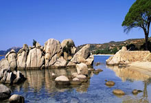 天涯神贴真实身份：孤勇者的隐身极客与烟火人间的日常对位